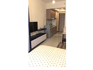 �Ŷ����ʵ�3